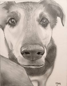 This is Bear... drawn in pencil for my cousin, Shannon, in remembrance of him