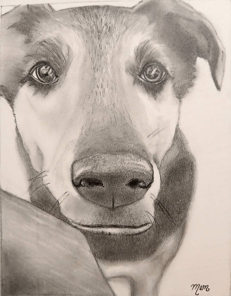 This is Bear... drawn in pencil for my cousin, Shannon, in remembrance of him