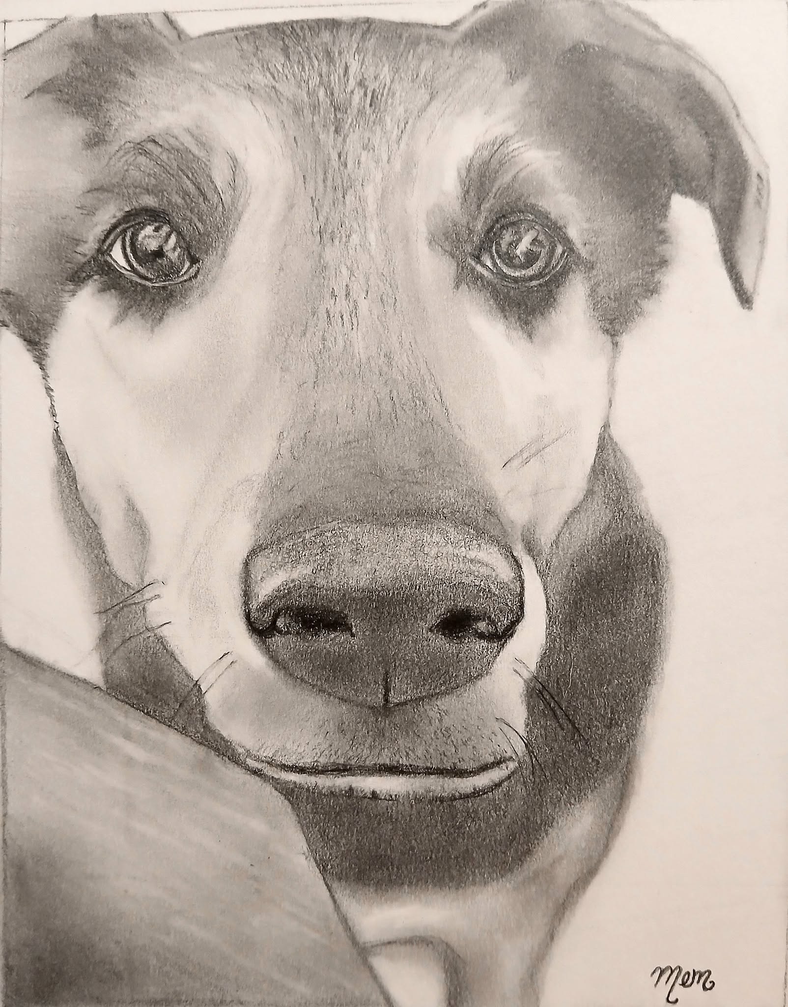 This is Bear... drawn in pencil for my cousin, Shannon, in remembrance of him