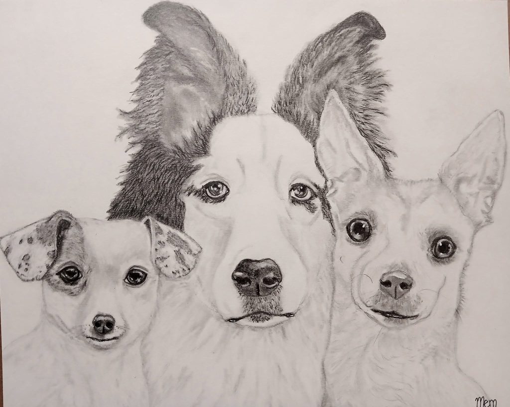 Meet Bella, Ghost, and Yuki! This is a graphite commission I just completed for my friend, Nina. 🙂