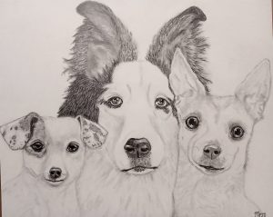 Meet Bella, Ghost, and Yuki! This is a graphite commission I just completed for my friend, Nina. 🙂
