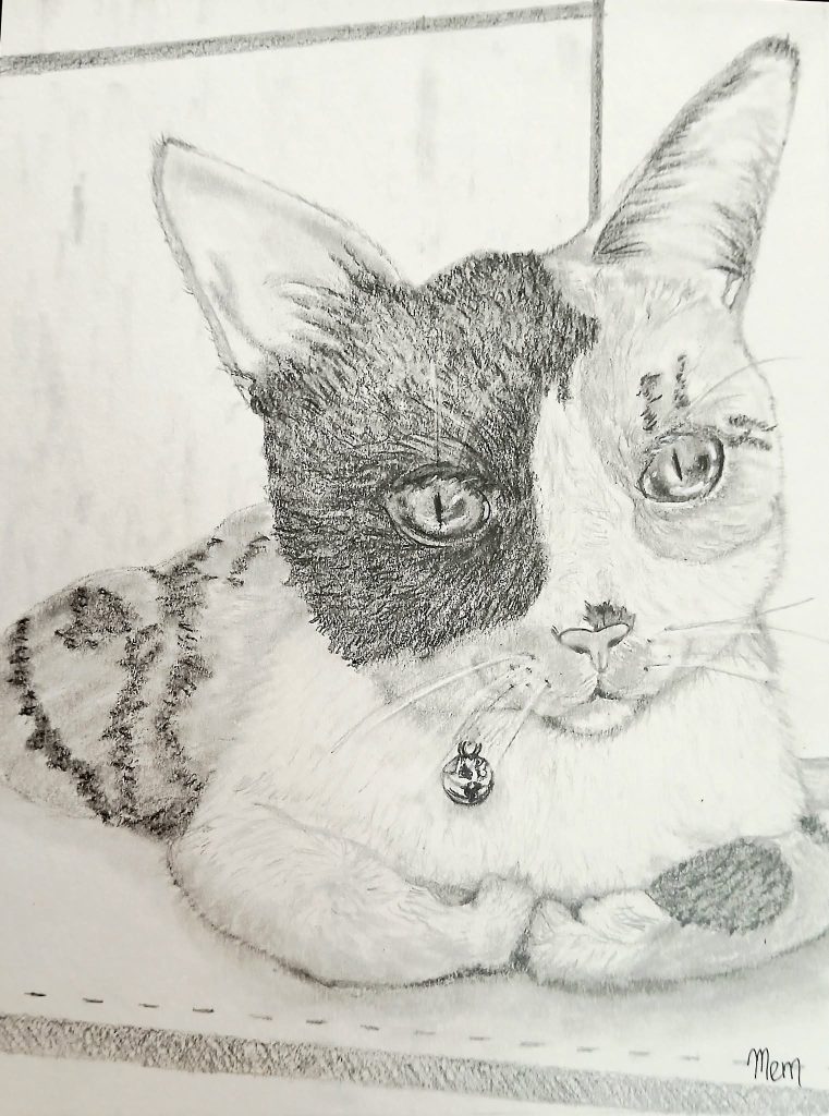 Please be kind, this is my first cat pet portrait, lol! 🥹😺 This is for Trish Harvey and this precious kitten is Callie! 💖