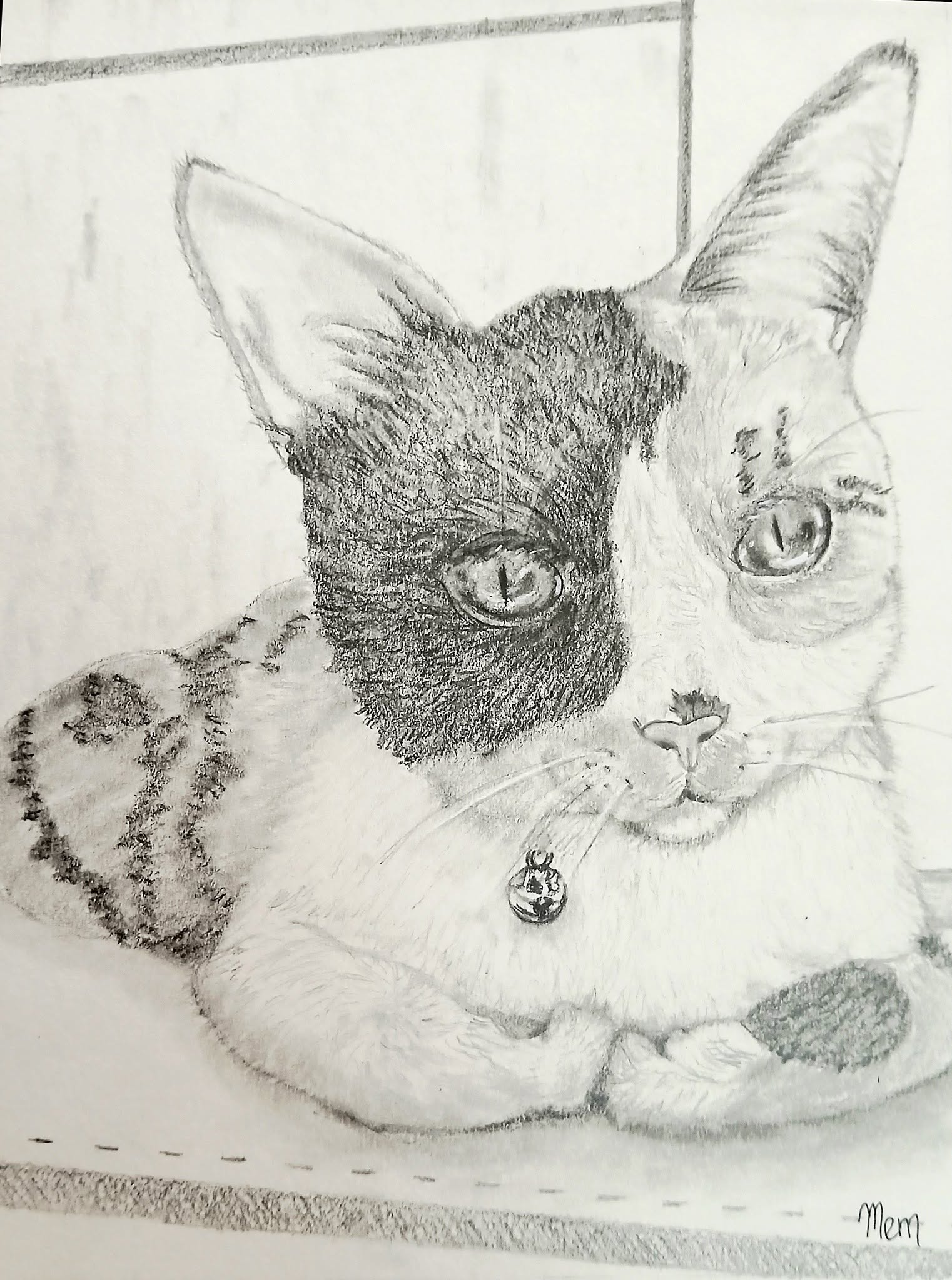 Please be kind, this is my first cat pet portrait, lol! 🥹😺 This is for Trish Harvey and this precious kitten is Callie! 💖