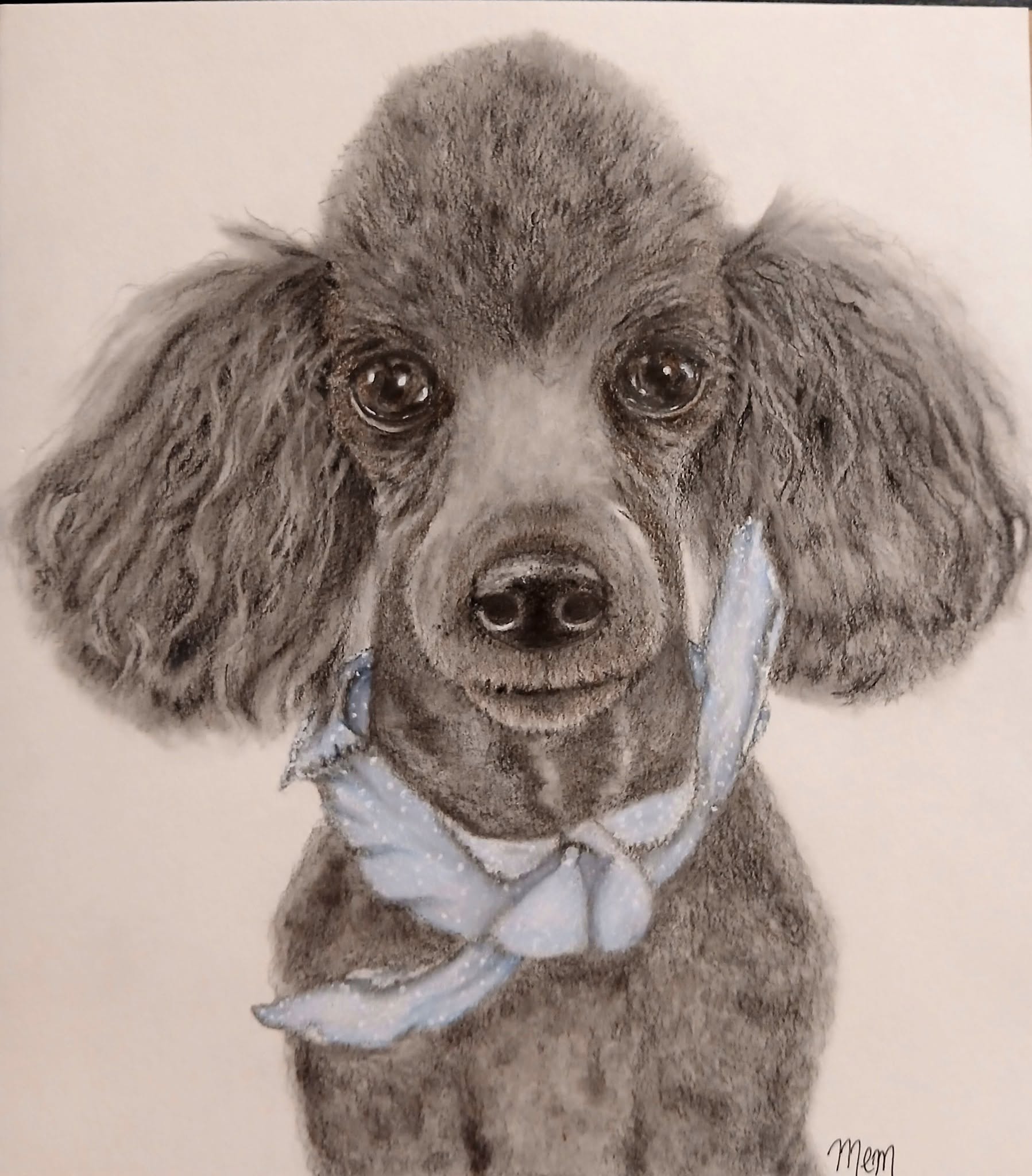 For my Mom's birthday coming up in March, I drew this in remembrance of her beloved little poodle, Coal. Drawn in graphite and enhanced with Prismacolor colored pencils