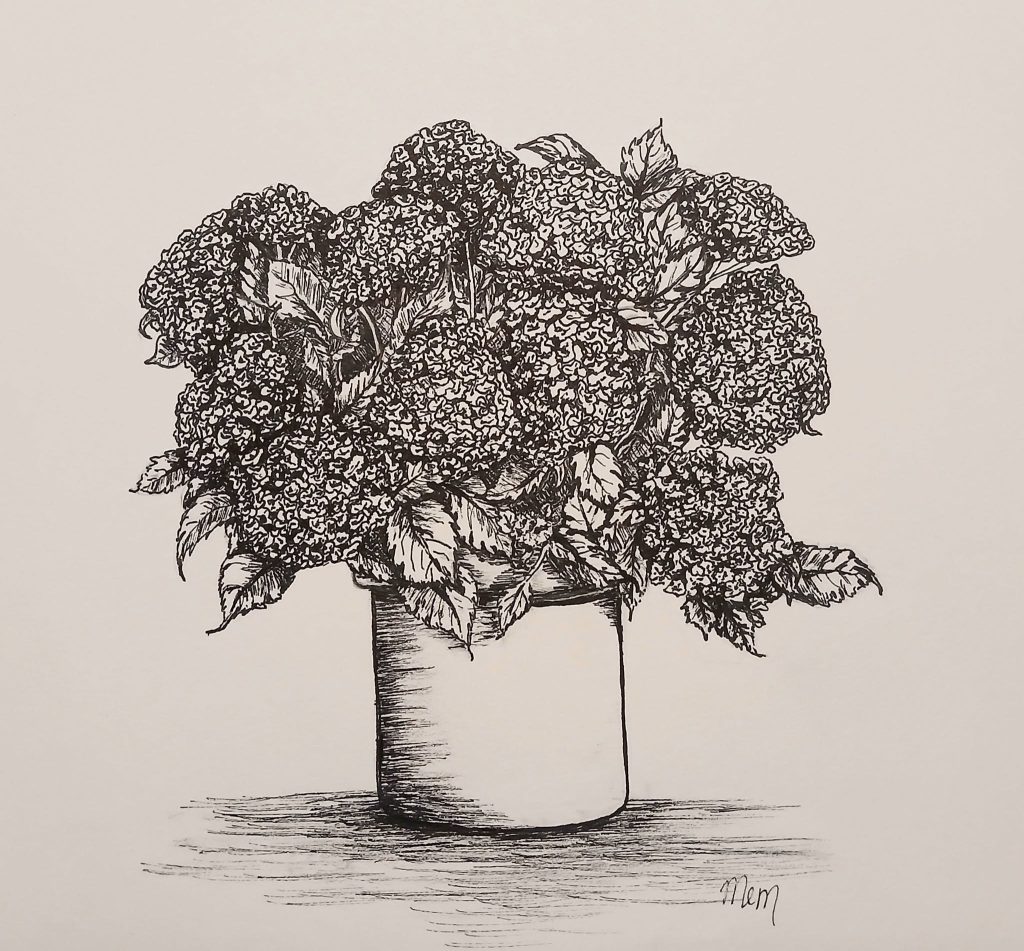 I drew these Hydrangeas using ink