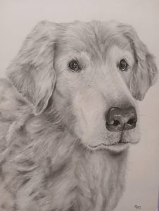My latest commission for a family member's friend... This is Jacob. I hear he was such a good boy. 🫶🏻 I used graphite for this drawing