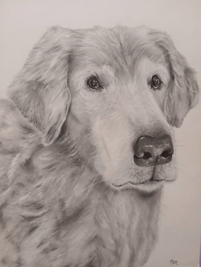My latest commission for a family member's friend... This is Jacob. I hear he was such a good boy. 🫶🏻 I used graphite for this drawing