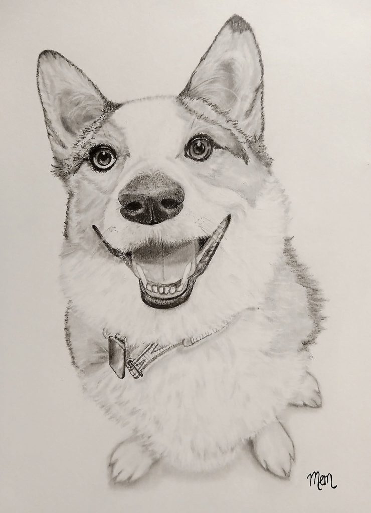 My latest graphite drawing of Presley... a well-loved doggy who uniquely has two different colored eyes! Custom portrait for Angie Bennett Brown 🐕