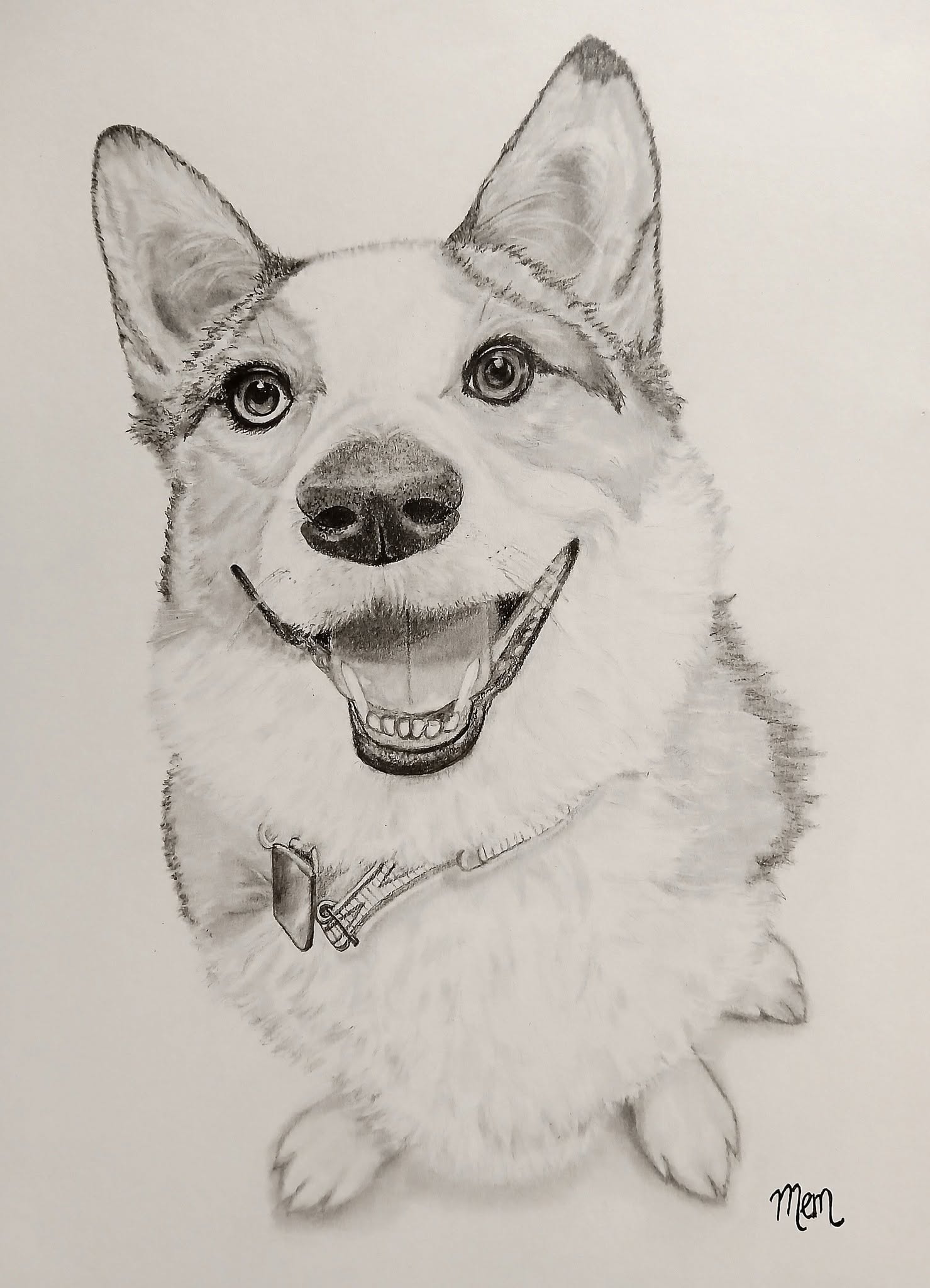My latest graphite drawing of Presley... a well-loved doggy who uniquely has two different colored eyes! Custom portrait for Angie Bennett Brown 🐕