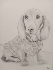 This is Pumpkin... an adorable doggy belonging to the wonderful mom-daughter duo, Carrie Knight and Faith Knight. Both of these ladies have been a tremendous blessing to me!