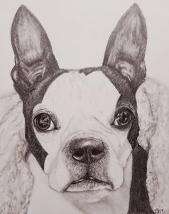 I wanted to bless my friend, Tiffany Goodman, by creating a graphite drawing of her beloved Scampi. I know you miss her and I hope this portrait will remind you of her sweet face. ⚘️