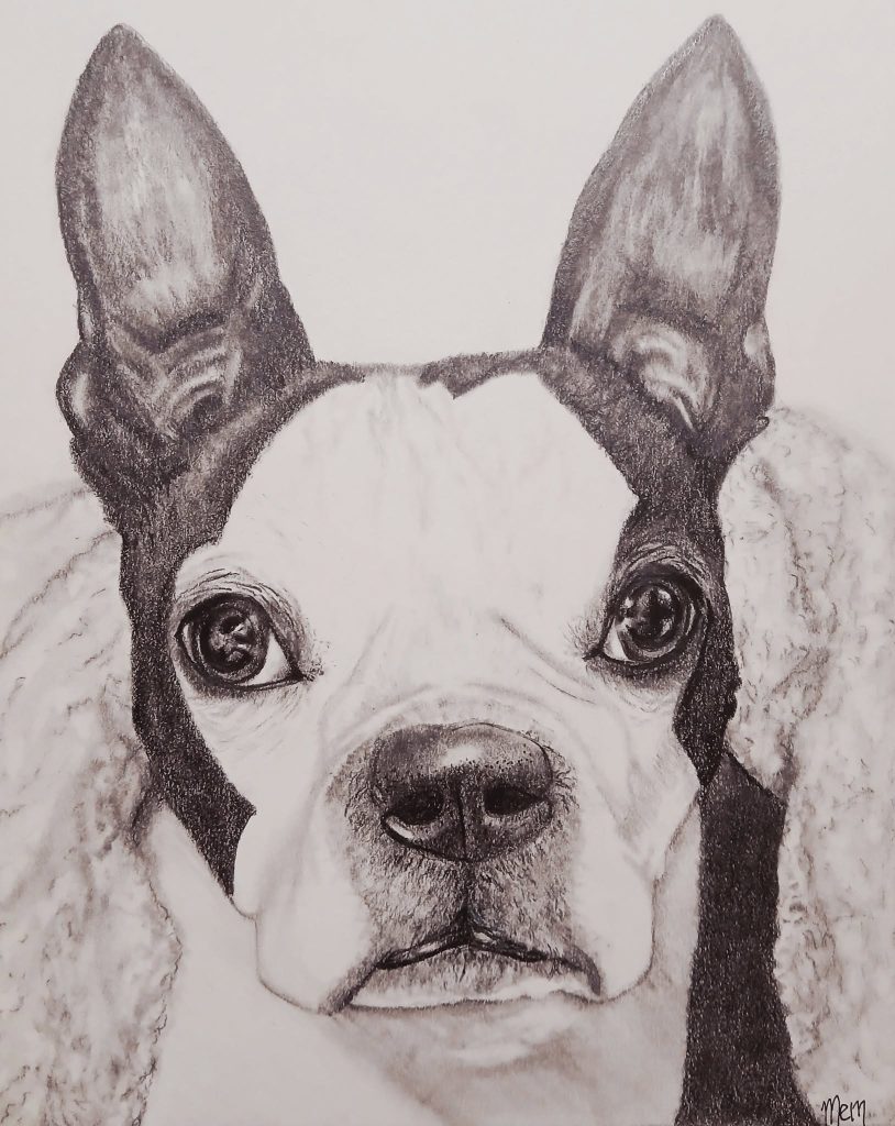 I wanted to bless my friend, Tiffany Goodman, by creating a graphite drawing of her beloved Scampi. I know you miss her and I hope this portrait will remind you of her sweet face. ⚘️