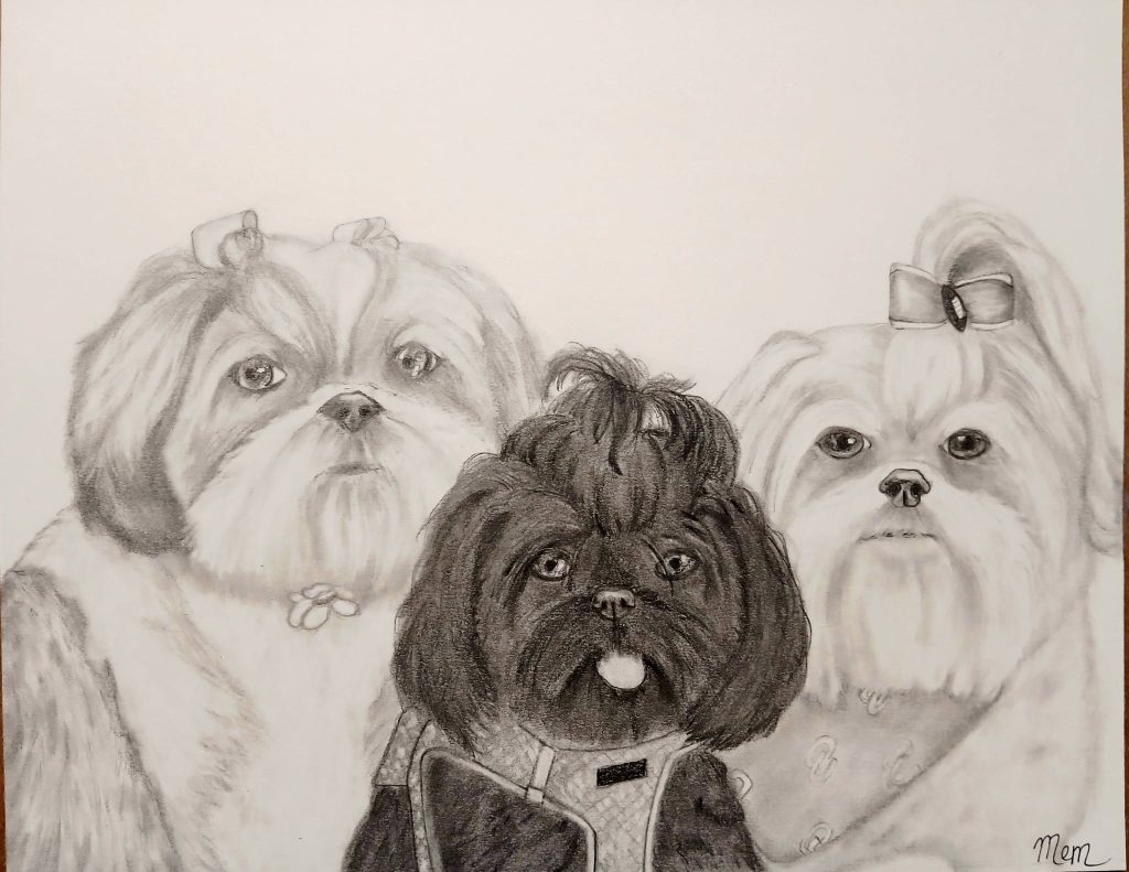 I haven't posted my art in awhile but I did this commission back in March:April. This doggy trio is done in graphite. Madi DeShields, I am so happy April loved it! ❤️